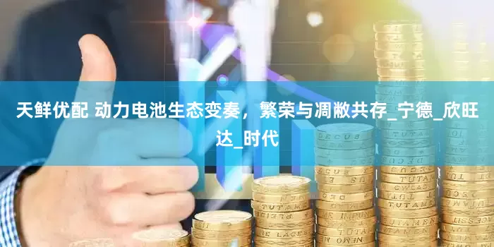 天鲜优配 动力电池生态变奏，繁荣与凋敝共存_宁德_欣旺达_时代
