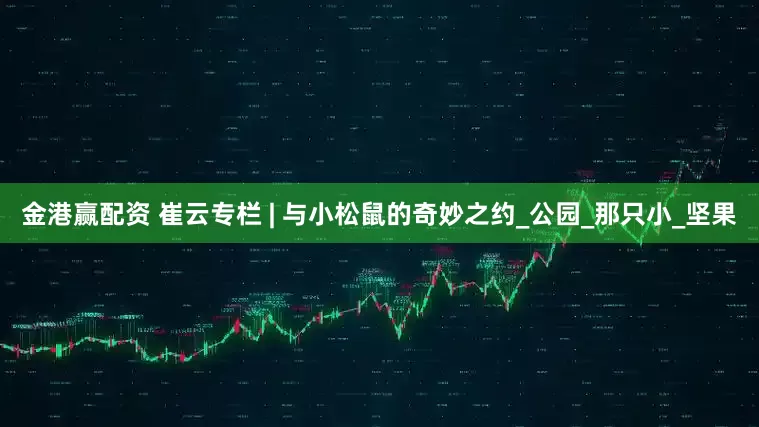 金港赢配资 崔云专栏 | 与小松鼠的奇妙之约_公园_那只小_坚果